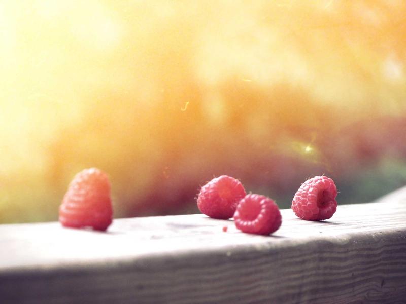 Macro shot of fresh raspberries being dusted with sugar, crystalline textures, no woman
